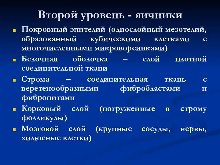 Второй уровень - яичники Покровный эпителий (однослойный мезотелий, образованный кубическими клетками с