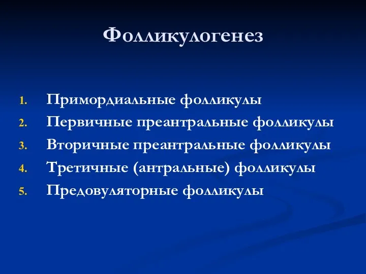 Фолликулогенез Примордиальные фолликулы Первичные преантральные фолликулы Вторичные преантральные фолликулы Третичные (антральные) фолликулы Предовуляторные фолликулы