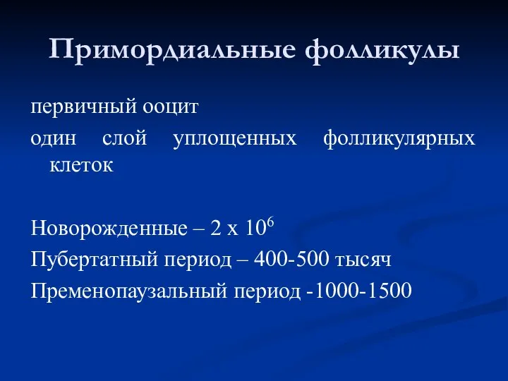 Примордиальные фолликулы первичный ооцит один слой уплощенных фолликулярных клеток Новорожденные – 2