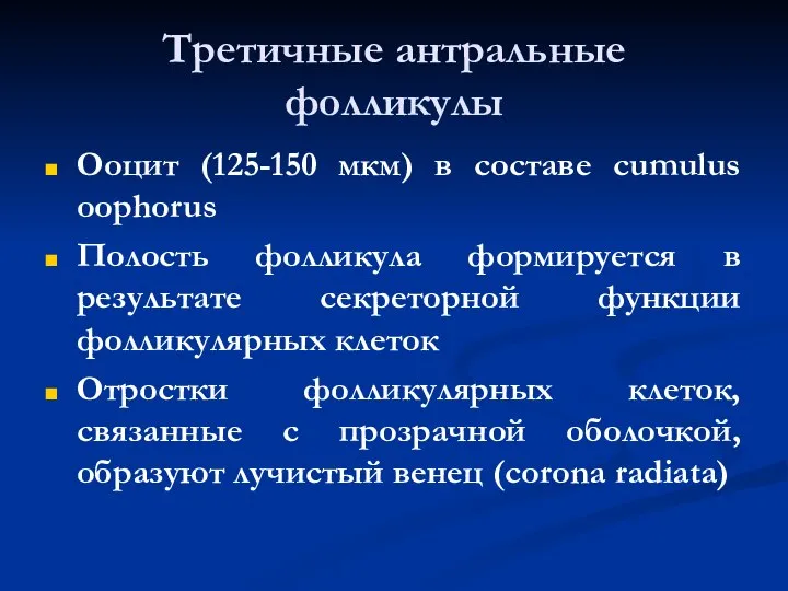 Третичные антральные фолликулы Ооцит (125-150 мкм) в составе cumulus oophorus Полость фолликула