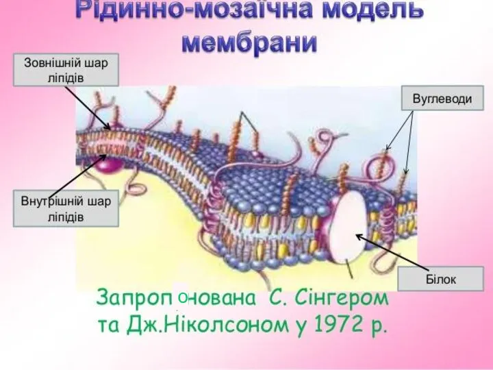 о о