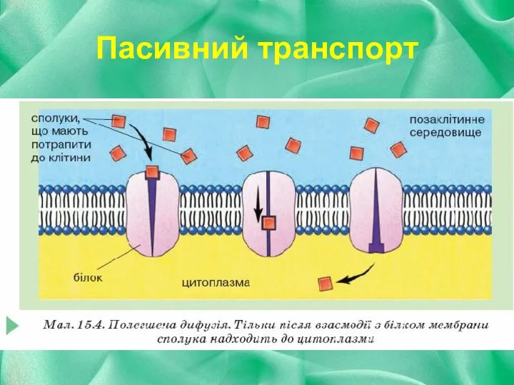 Пасивний транспорт