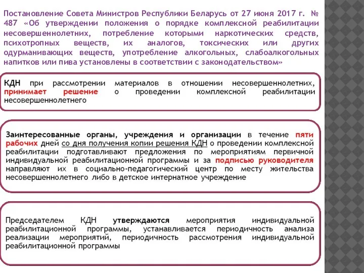 Постановление Совета Министров Республики Беларусь от 27 июня 2017 г. № 487