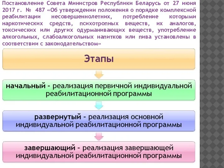Постановление Совета Министров Республики Беларусь от 27 июня 2017 г. № 487
