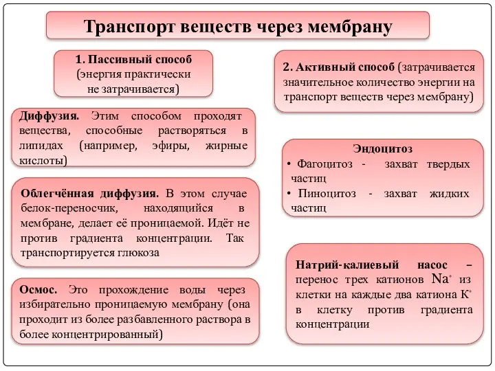 Транспорт веществ через мембрану 1. Пассивный способ (энергия практически не затрачивается) 2.