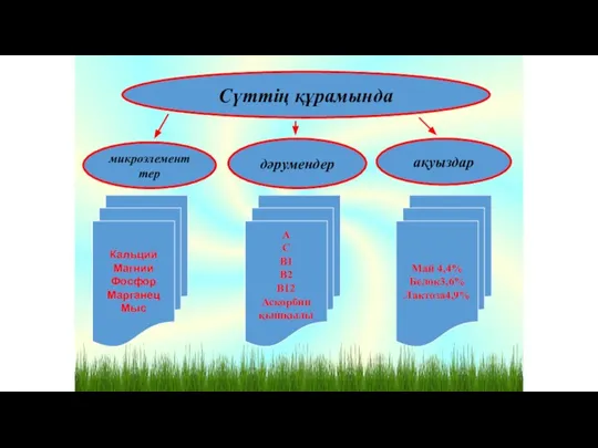 ақуыздар микроэлементтер дәрумендер Сүттің құрамында Кальций Магний Фосфор Марганец Мыс А С