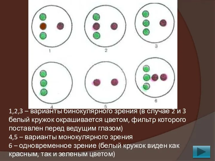 1,2,3 – варианты бинокулярного зрения (в случае 2 и 3 белый кружок
