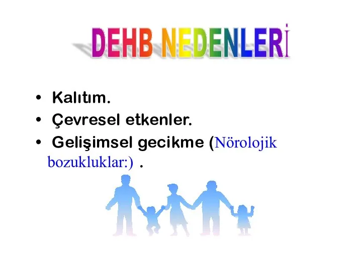 Kalıtım. Çevresel etkenler. Gelişimsel gecikme (Nörolojik bozukluklar:) . DEHB NEDENLERİ