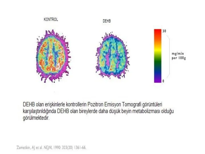 Prof.Dr.Ayşe Avcı Gaziantep 21.03.2008