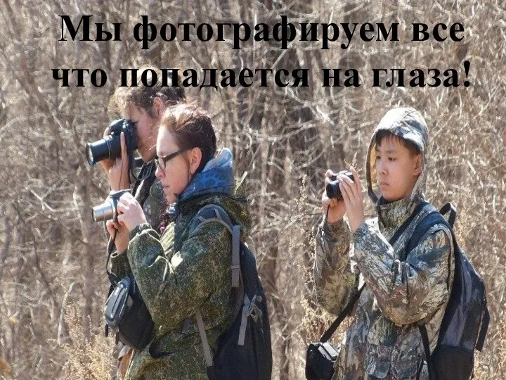 Мы фотографируем все что попадается на глаза!