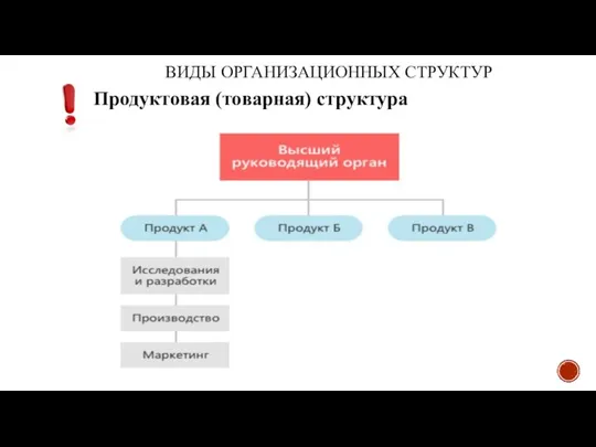 ВИДЫ ОРГАНИЗАЦИОННЫХ СТРУКТУР Продуктовая (товарная) структура