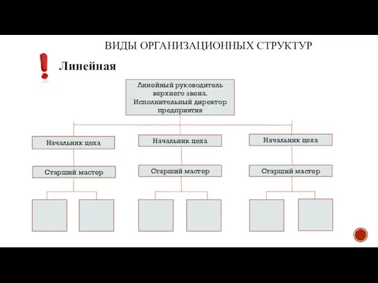 ВИДЫ ОРГАНИЗАЦИОННЫХ СТРУКТУР Линейная Линейный руководитель верхнего звена. Исполнительный директор предприятия Начальник