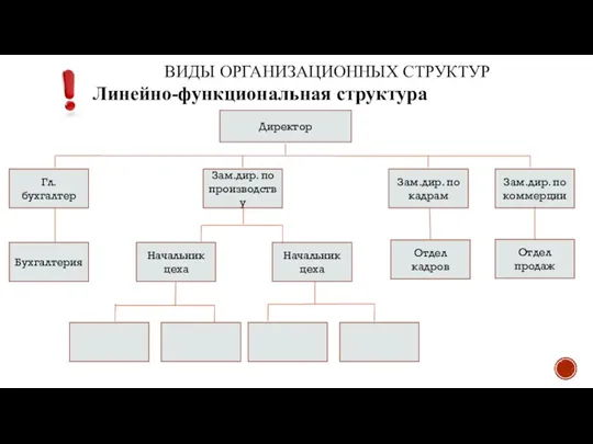 ВИДЫ ОРГАНИЗАЦИОННЫХ СТРУКТУР Линейно-функциональная структура Директор Гл. бухгалтер Зам.дир. по производству Зам.дир.