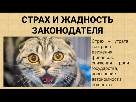 СТРАХ И ЖАДНОСТЬ ЗАКОНОДАТЕЛЯ Страх – утрата контроля движения финансов, снижения роли государства, повышение автономности общества.