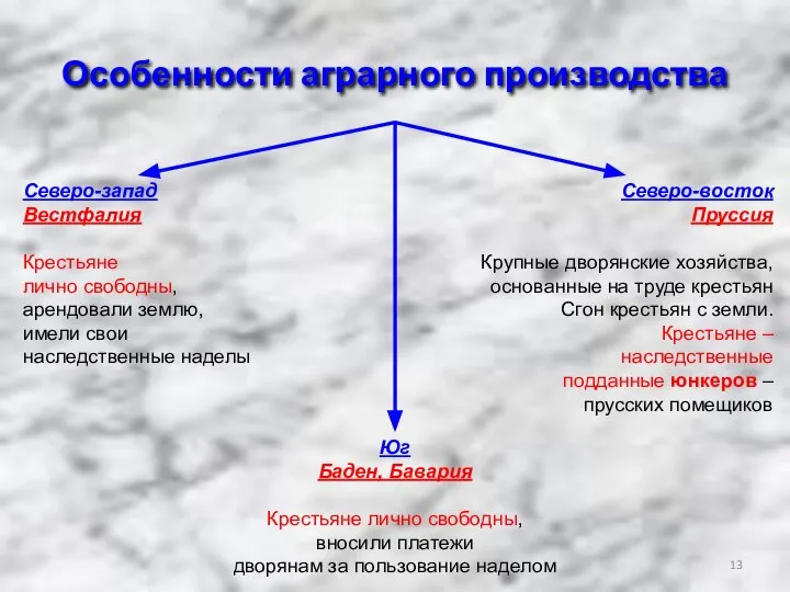 Особенности аграрного производства Северо-запад Вестфалия Крестьяне лично свободны, арендовали землю, имели свои