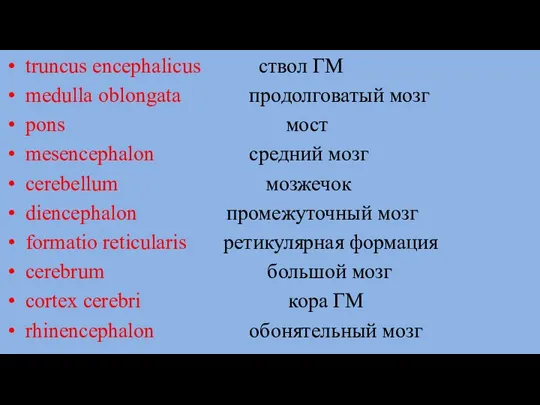 truncus encephalicus ствол ГМ medulla oblongata продолговатый мозг pons мост mesencephalon средний