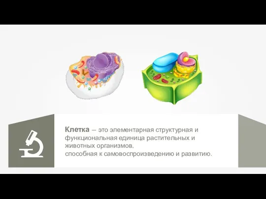 Клетка — это элементарная структурная и функциональная единица растительных и животных организмов,