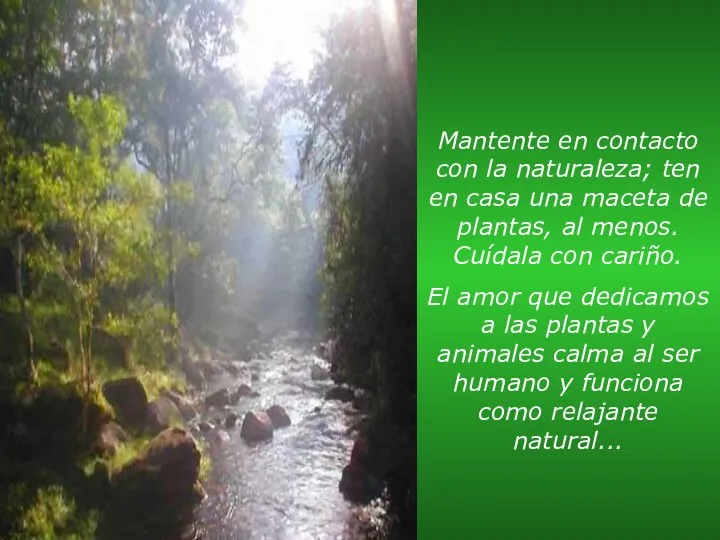 Mantente en contacto con la naturaleza; ten en casa una maceta de