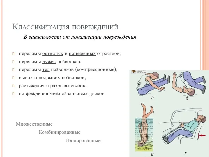 Классификация повреждений В зависимости от локализации повреждения переломы остистых и поперечных отростков;