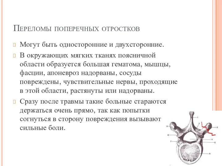 Переломы поперечных отростков Могут быть односторонние и двухсторонние. В окружающих мягких тканях