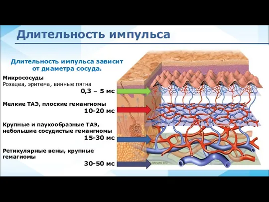 Длительность импульса Длительность импульса зависит от диаметра сосуда. Микрососуды Розацеа, эритема, винные