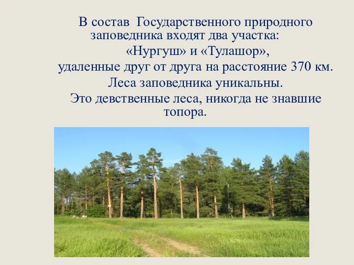 В состав Государственного природного заповедника входят два участка: «Нургуш» и «Тулашор», удаленные
