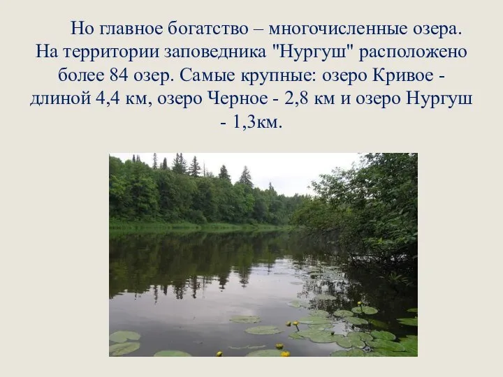 Но главное богатство – многочисленные озера. На территории заповедника "Нургуш" расположено более