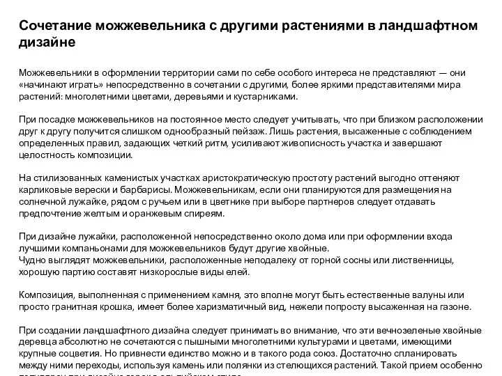 Сочетание можжевельника с другими растениями в ландшафтном дизайне Можжевельники в оформлении территории