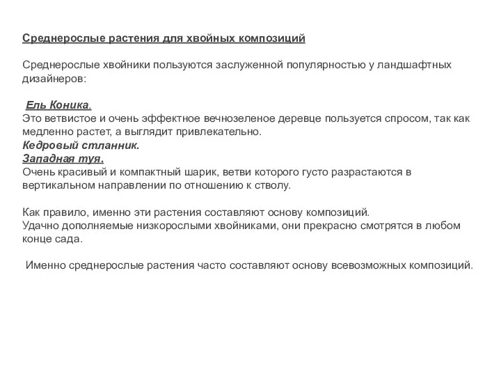 Среднерослые растения для хвойных композиций Среднерослые хвойники пользуются заслуженной популярностью у ландшафтных