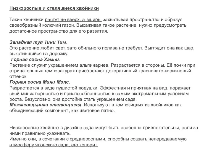 Низкорослые и стелящиеся хвойники Такие хвойники растут не вверх, а вширь, захватывая