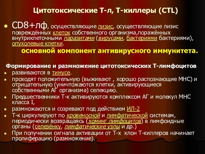 Цитотоксические Т-л, Т-киллеры (CTL) CD8+лф, осуществляющие лизис, осуществляющие лизис повреждённых клеток собственного