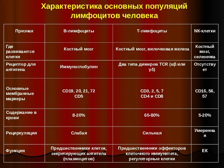 Характеристика основных популяций лимфоцитов человека