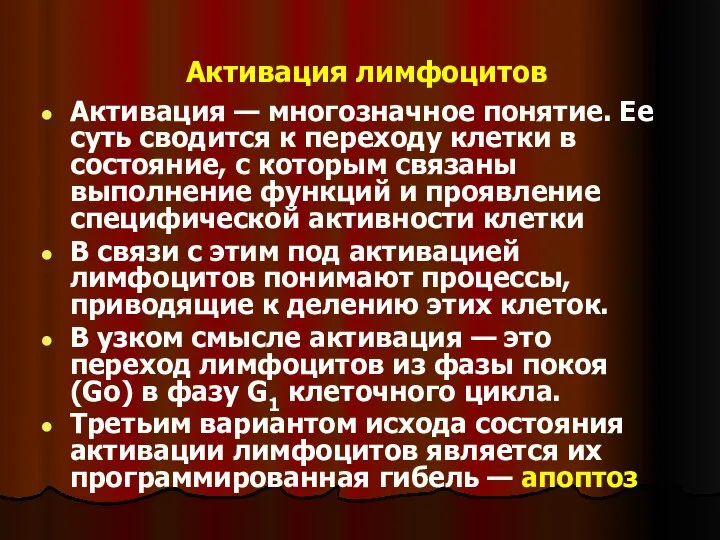 Активация лимфоцитов Активация — многозначное понятие. Ее суть сводится к переходу клетки