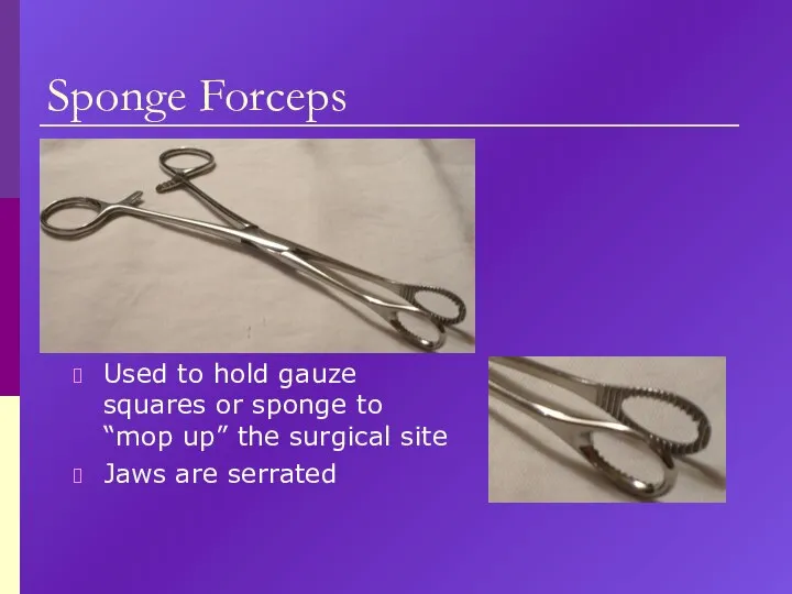 Sponge Forceps Used to hold gauze squares or sponge to “mop up”