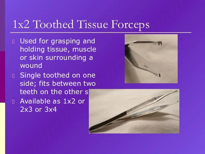 1x2 Toothed Tissue Forceps Used for grasping and holding tissue, muscle or