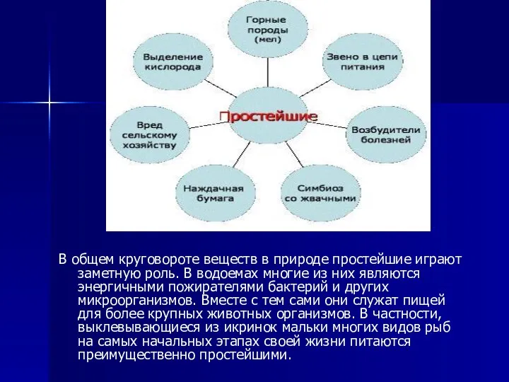 В общем круговороте веществ в природе простейшие играют заметную роль. В водоемах