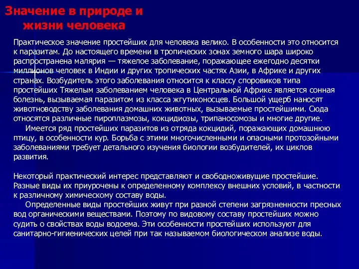 Значение в природе и жизни человека Практическое значение простейших для человека велико.