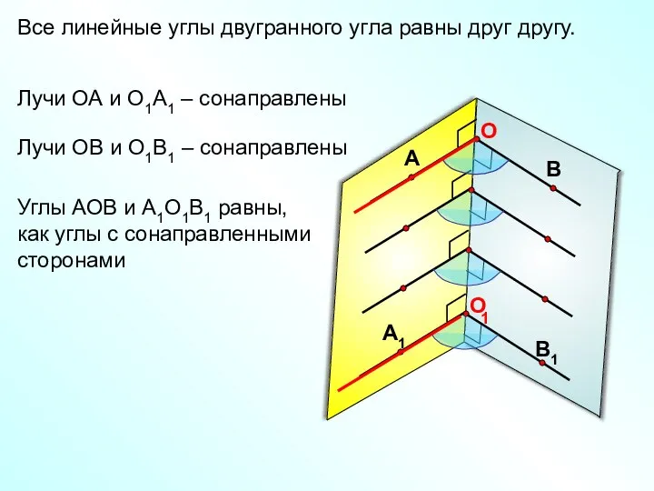 Все линейные углы двугранного угла равны друг другу. 1 Лучи ОА и