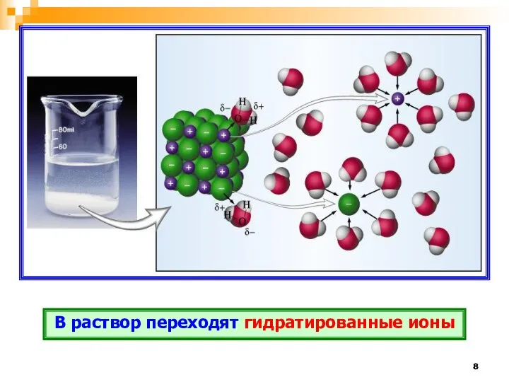 В раствор переходят гидратированные ионы