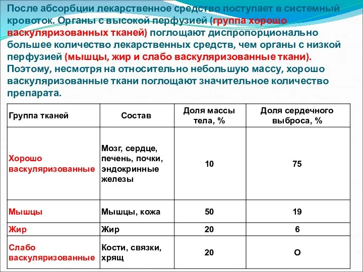 После абсорбции лекарственное средство поступает в системный кровоток. Органы с высокой перфузией