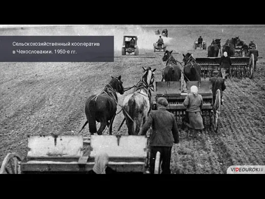 Сельскохозяйственный кооператив в Чехословакии. 1950-е гг.