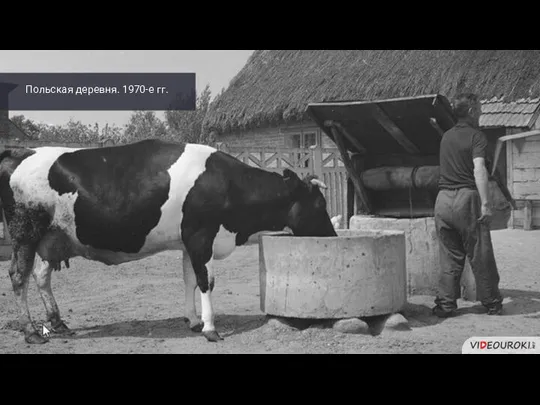 Польская деревня. 1970-е гг.