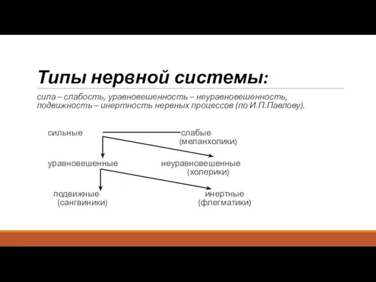 Типы нервной системы: сила – слабость, уравновешенность – неуравновешенность, подвижность – инертность