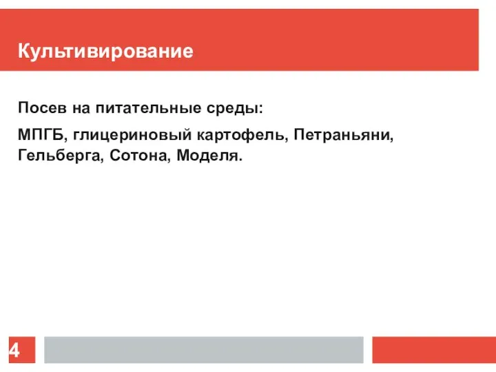 Культивирование Посев на питательные среды: МПГБ, глицериновый картофель, Петраньяни, Гельберга, Сотона, Моделя.