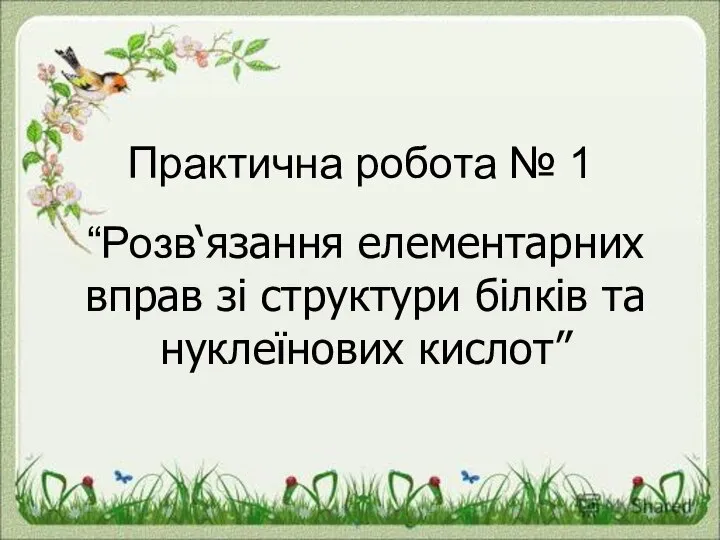 Урок 10-9.Практична робота № 1