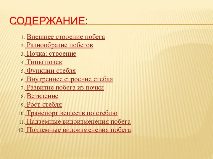 СОДЕРЖАНИЕ: Внешнее строение побега Разнообразие побегов Почка: строение Типы почек Функции стебля