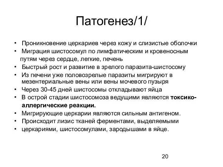 Патогенез/1/ Проникновение церкариев через кожу и слизистые оболочки Миграция шистосомул по лимфатическим