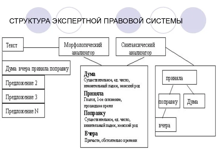 СТРУКТУРА ЭКСПЕРТНОЙ ПРАВОВОЙ СИСТЕМЫ