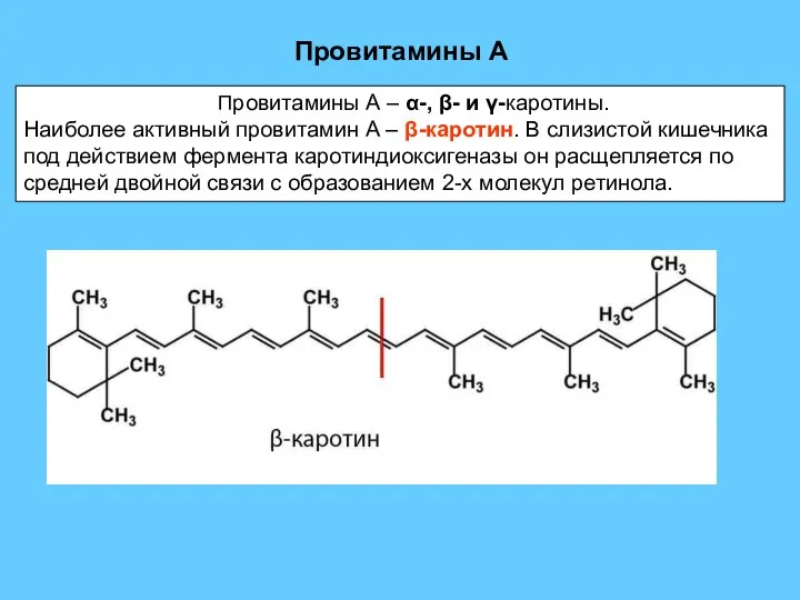 Провитамины А Провитамины А – α-, β- и γ-каротины. Наиболее активный провитамин