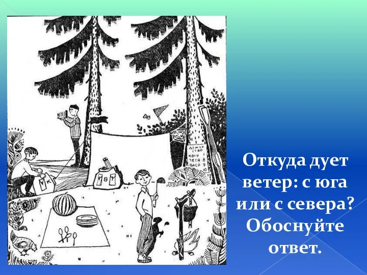 Откуда дует ветер: с юга или с севера? Обоснуйте ответ.